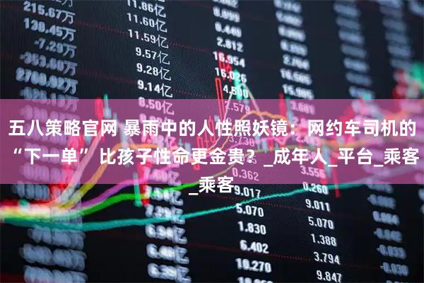 五八策略官网 暴雨中的人性照妖镜：网约车司机的 “下一单” 比孩子性命更金贵？_成年人_平台_乘客