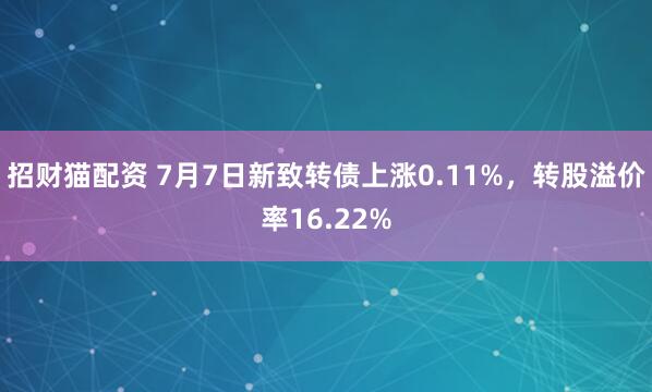 招财猫配资 7月7日新致转债上涨0.11%，转股溢价率16.22%