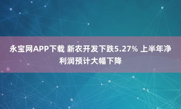 永宝网APP下载 新农开发下跌5.27% 上半年净利润预计大幅下降