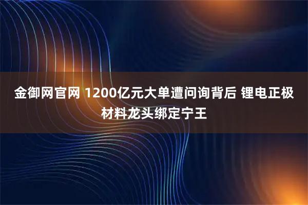 金御网官网 1200亿元大单遭问询背后 锂电正极材料龙头绑定宁王