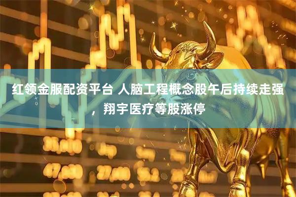 红领金服配资平台 人脑工程概念股午后持续走强，翔宇医疗等股涨停