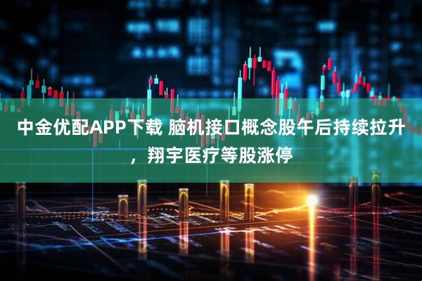 中金优配APP下载 脑机接口概念股午后持续拉升，翔宇医疗等股涨停