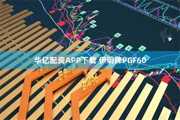 华亿配资APP下载 伊明牌PGF60